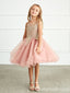 Cute Elegant Lace Appliques Tulle Ball Gown Flower Girl Dresses, FGS0056