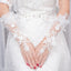 Light Ivory Beaded Wedding Gloves, Bridal Lace Gloves, Floral Appliques Is For Sale, TYP0571